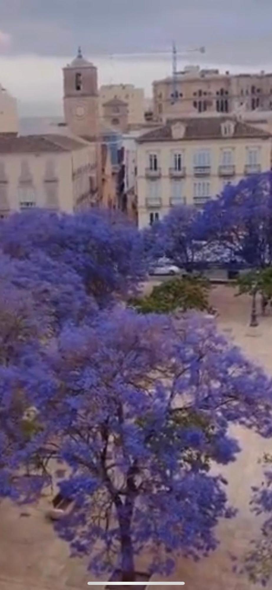 Apartamento—Centro Parking Gratis Grupos Málaga Exteriör bild